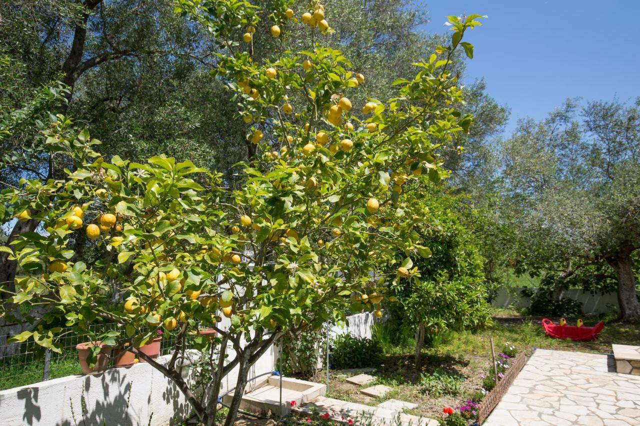 Karia Holiday Home Lefkími Kültér fotó